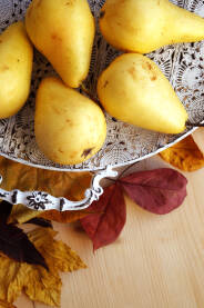 Žute jesenske kruške na stolu.