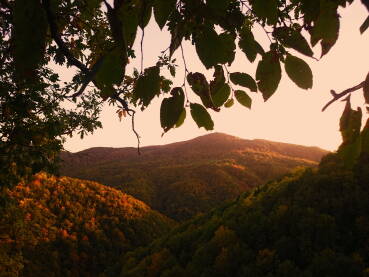 Kozara Prikaz planine Kozare za vrijeme zalaska sunca.