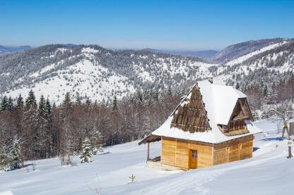 Planina Tara - zimski pejzaž Zima na planini Tari. Prelep pogled na brda, borovu šumu i drvenu kuću koji su prekriveni belim snegom. Prelep zimski dan, sa vedrim plavim nebom.