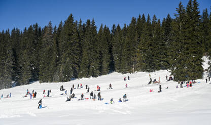 Mnogo ljudi se zabavlja na planini. Mnogo ljudi se zabavlja na planini. Grupa turista šeta, skija i sanjka se zimi. Ljudi uživaju u snijegu na planini Igman.