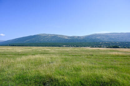 Livanjsko polje, Livno, Bosna i Hercegovina. Livanjsko polje, Livno, Bosna i Hercegovina. Kraško polje ljeti.