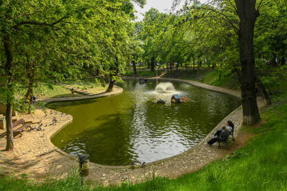 Zelena oaza unutar grada. Vještačko jezero u parku.