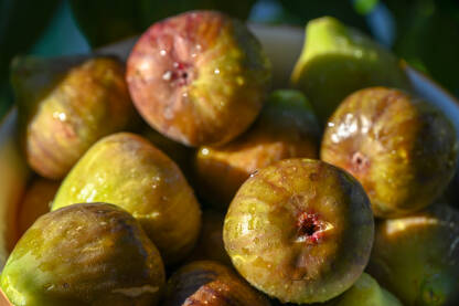 Zdjela puna svježih smokvi. Zrele smokve spremne za jelo. Domaće sočne smokve.