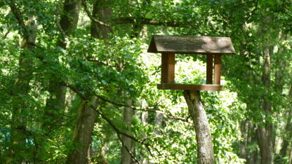 Drvena kućuca za ptice postavljena na stablo. Kućica za ptice bez zidova.