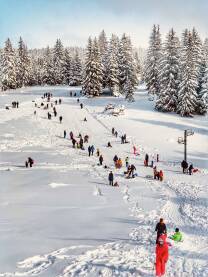 Razglednica Igre na snijegu, planina Igman.