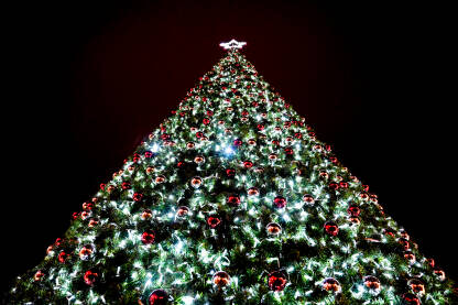 Ukrašena božićna jelka sa LED svjetlima i crvenim ukrasima od kuglica. Šareni ukrasi i lampice na granama zimzelenog drveta.