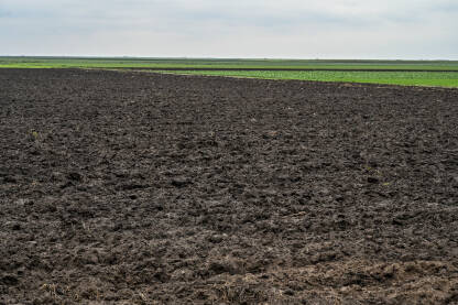 Svježe preorano polje spremno za sjetvu i sadnju. Prazna oranica u Rumuniji. Crno zemljište.