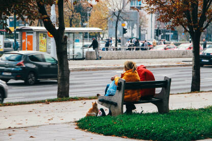 Jesen u Sarajevu Dvoje ljudi koji sjede na klupi u sarajevskom naselju Otoka, a društvo im pravi jedna ulična mačka.